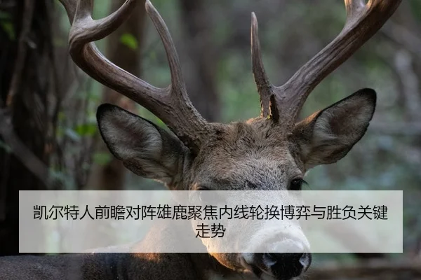 凯尔特人前瞻对阵雄鹿聚焦内线轮换博弈与胜负关键走势